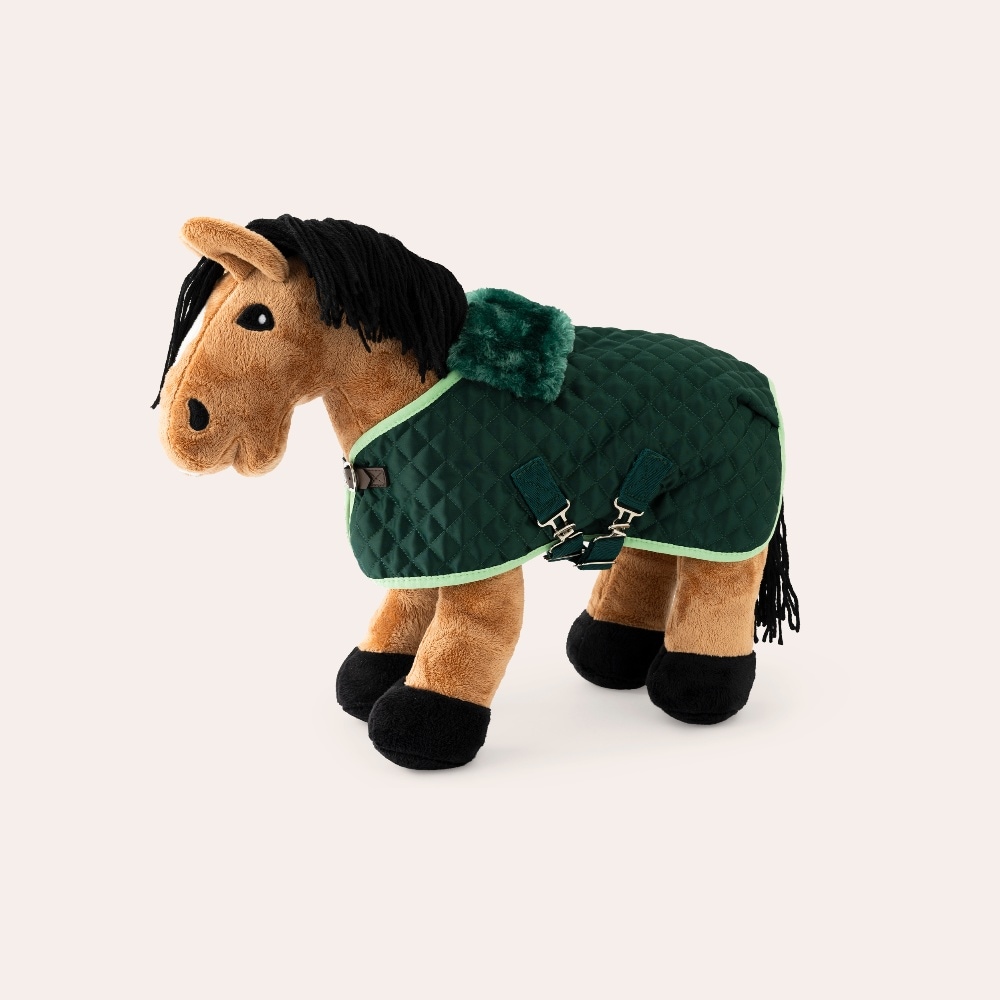 Sterling Mini Hööks