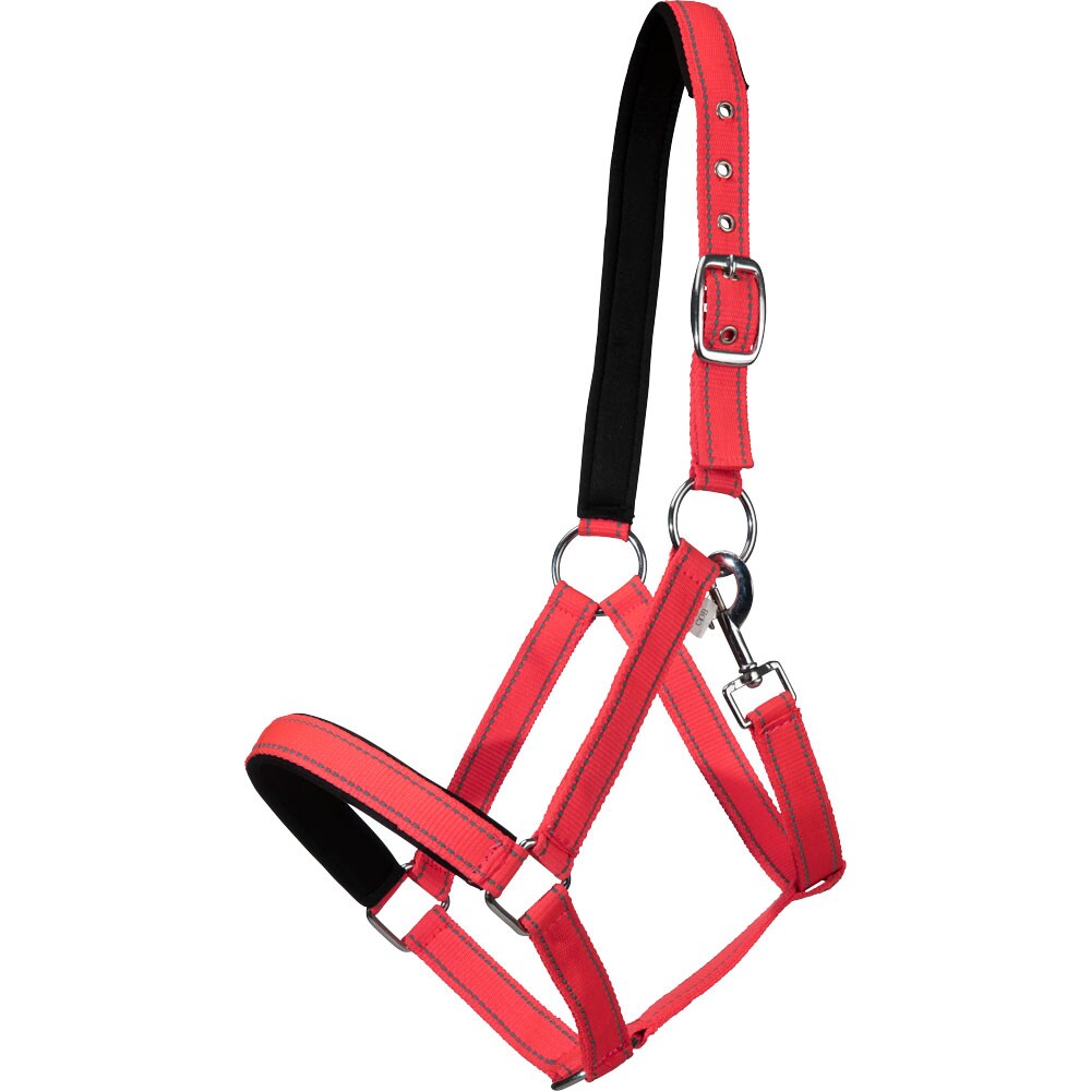 Halster  Hi-Viz Fairfield®